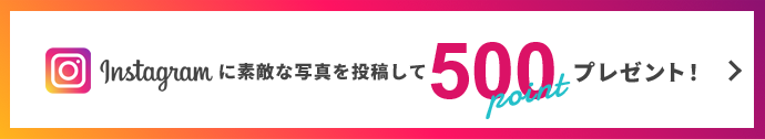 insta500p