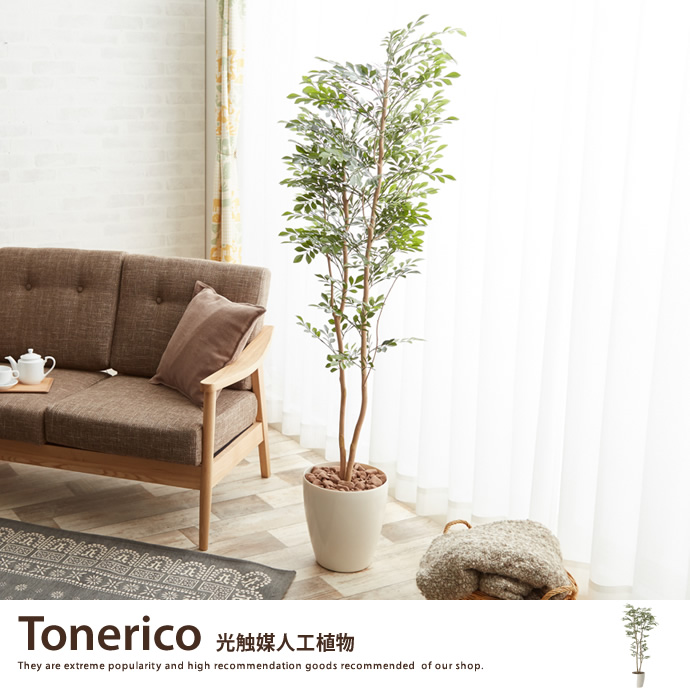 人工観葉植物でグリーンのある暮らし♪の画像